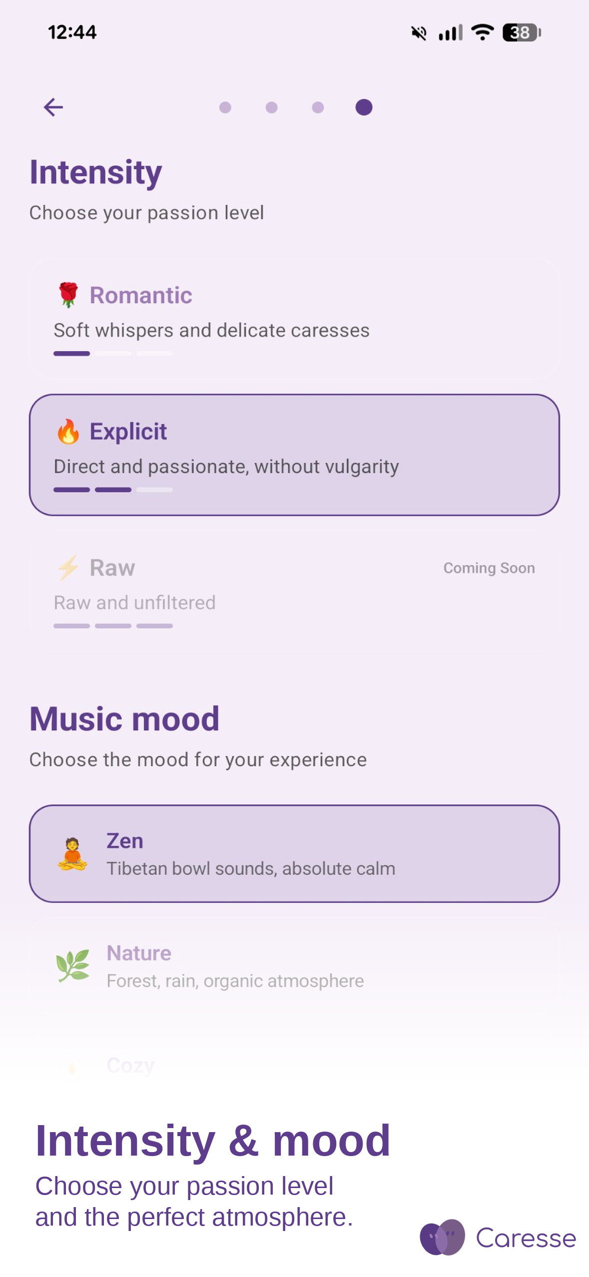 Intensity and music mood — romantic, explicit, zen, nature